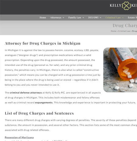 Professionally written page for a criminal defense law firm that discusses the legalities of being charged with drug offenses in Michigan